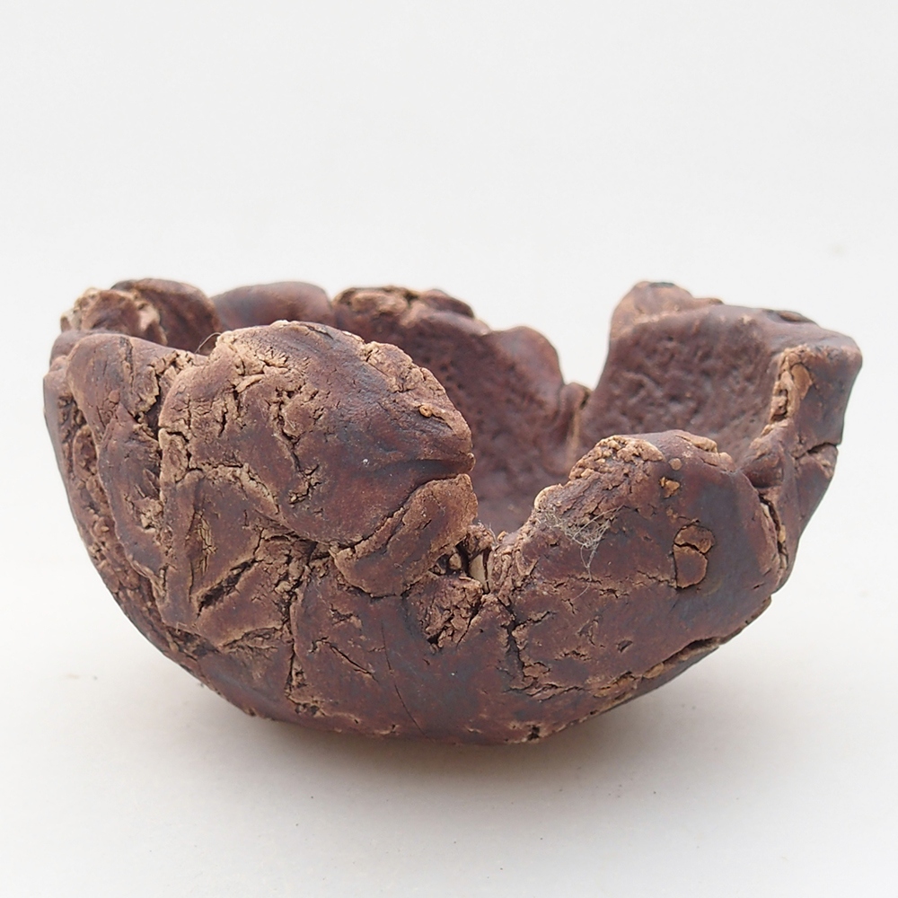Ceramiczna muszla 10 x 9 x 5,5 cm, kolor brązowy