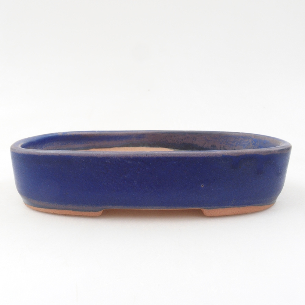 Ceramiczna miska bonsai 16 x 11 x 3,5 cm, kolor niebieski