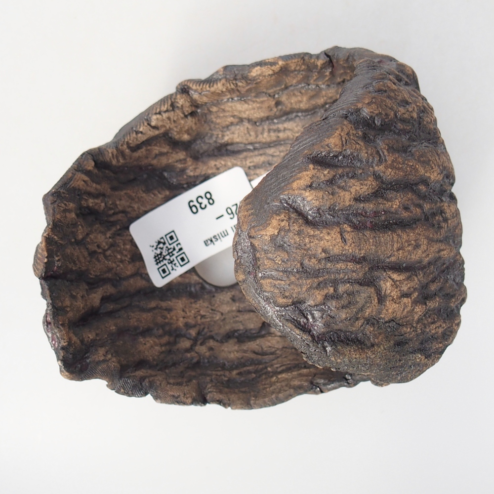 Ceramiczna muszla 10 x 9 x 10 cm, kolor brązowy