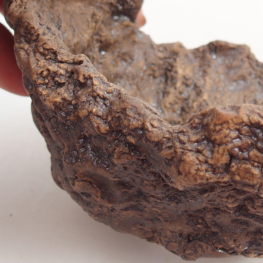 Ceramiczna muszla 10 x 9 x 9 cm, kolor brązowy