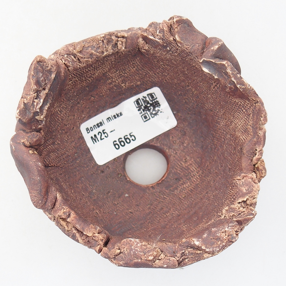 Ceramiczna muszla 9,5 x 9 x 7 cm, kolor brązowy