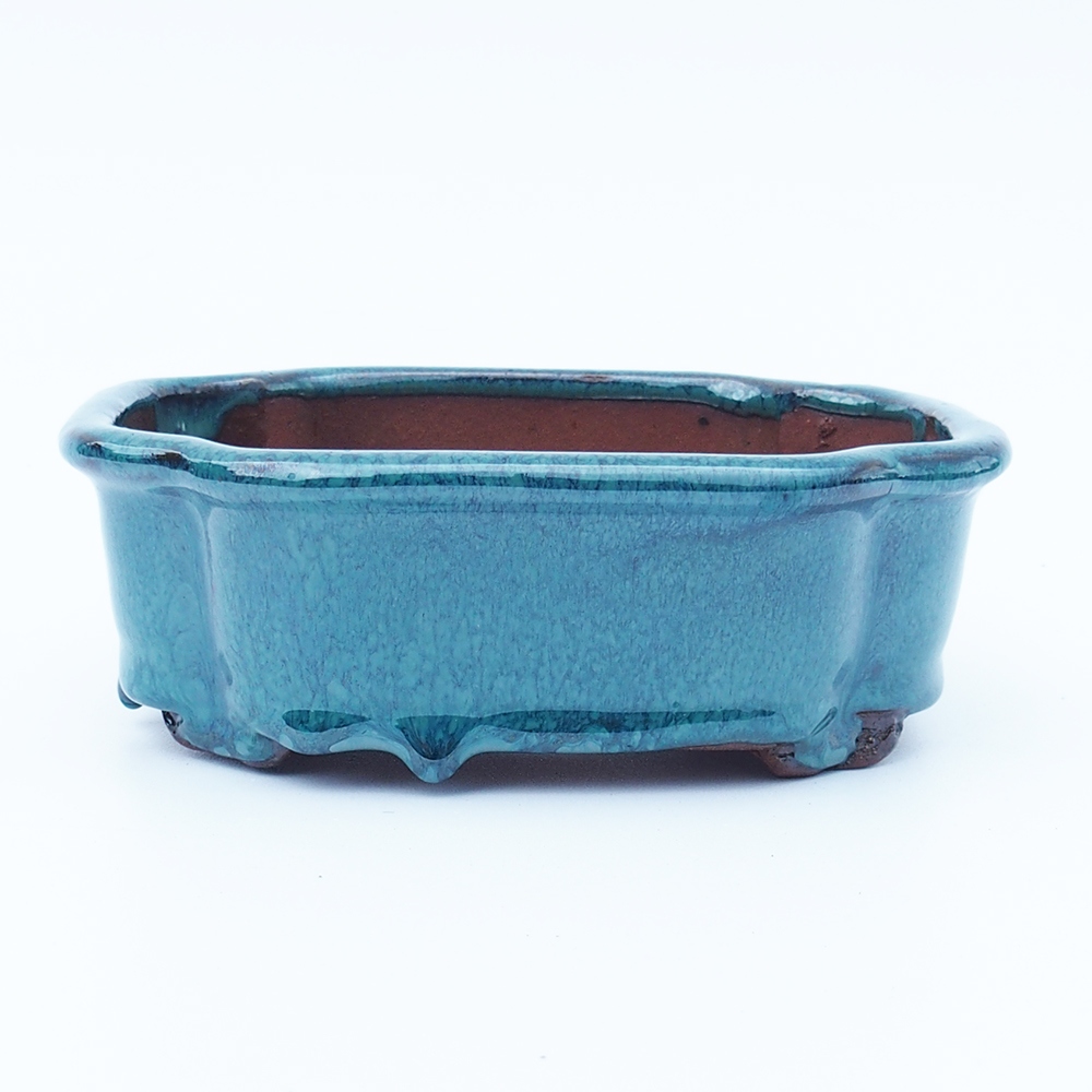 Miska 16 x 13 x 5,5 cm zielono-niebieska