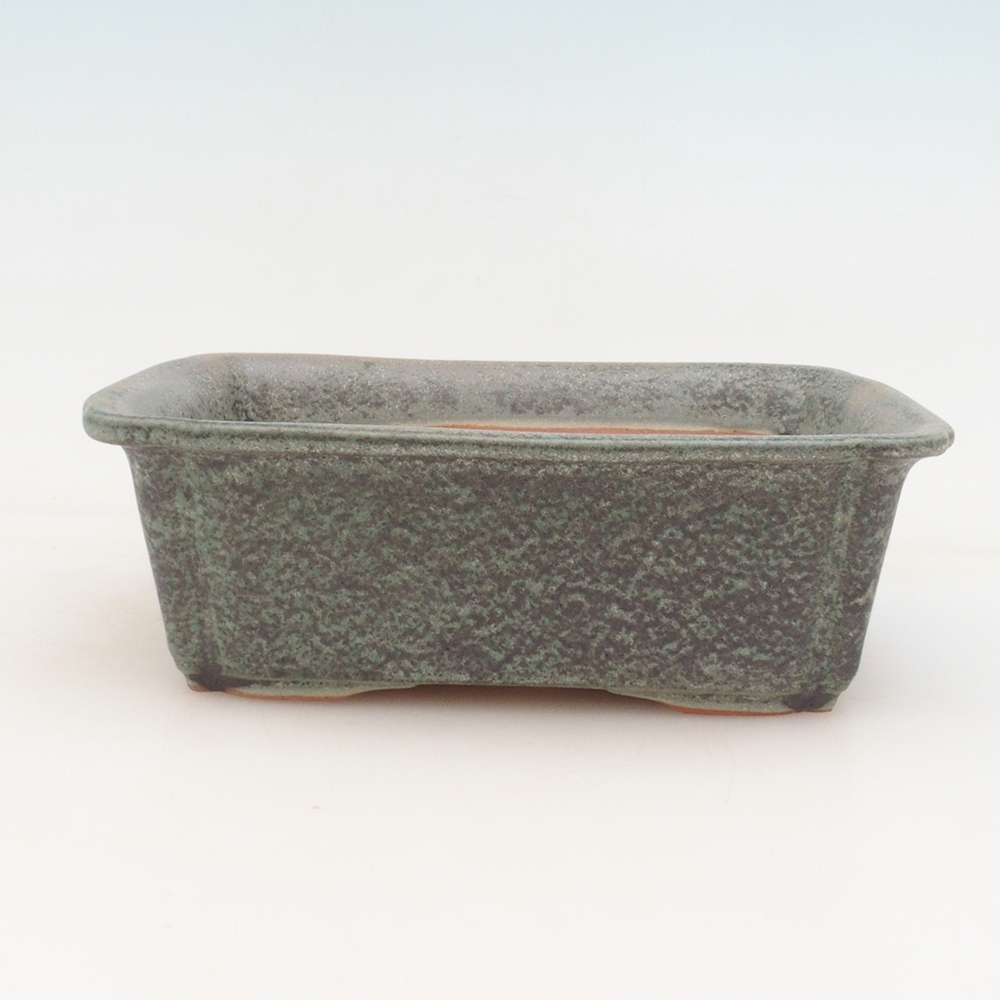 Spodek bonsai H50 - 17 x 12,5 x 5,5 cm. - beżowy