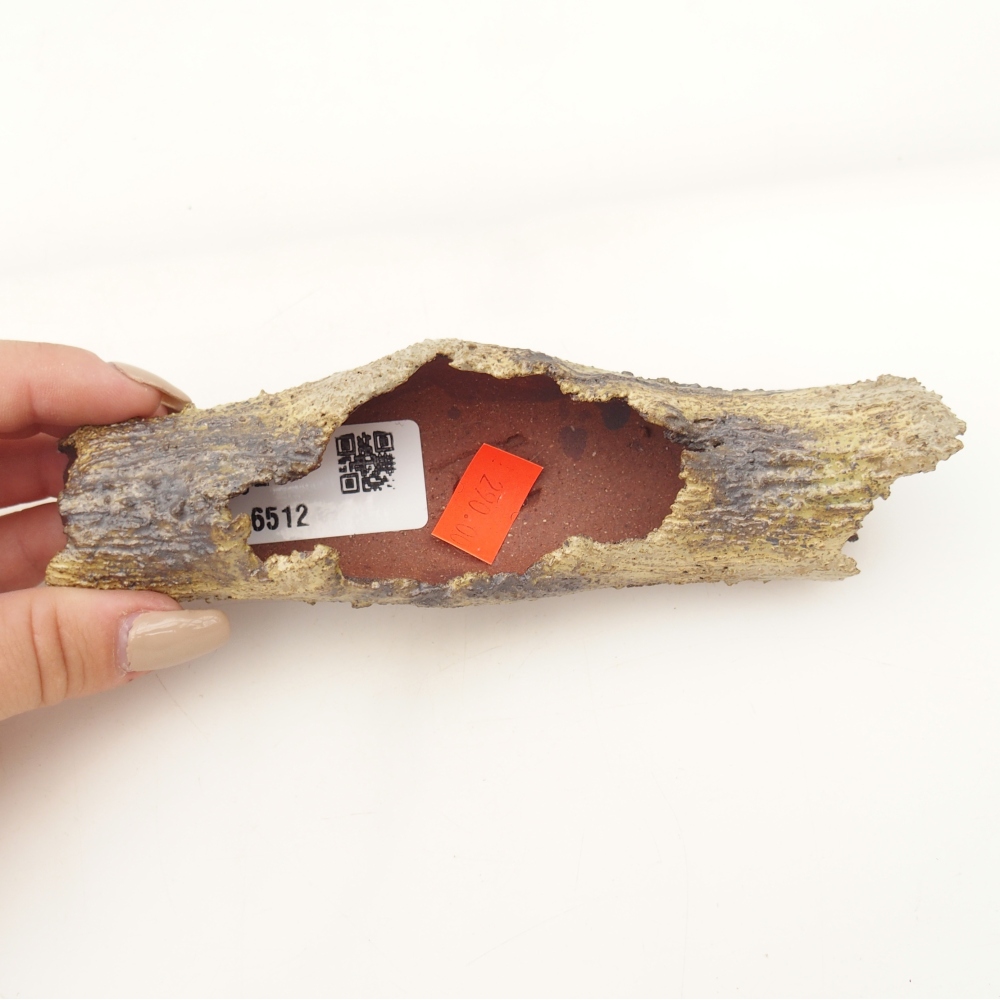 Ceramiczna skorupa 15 x 4,5 x 3 cm, żółta