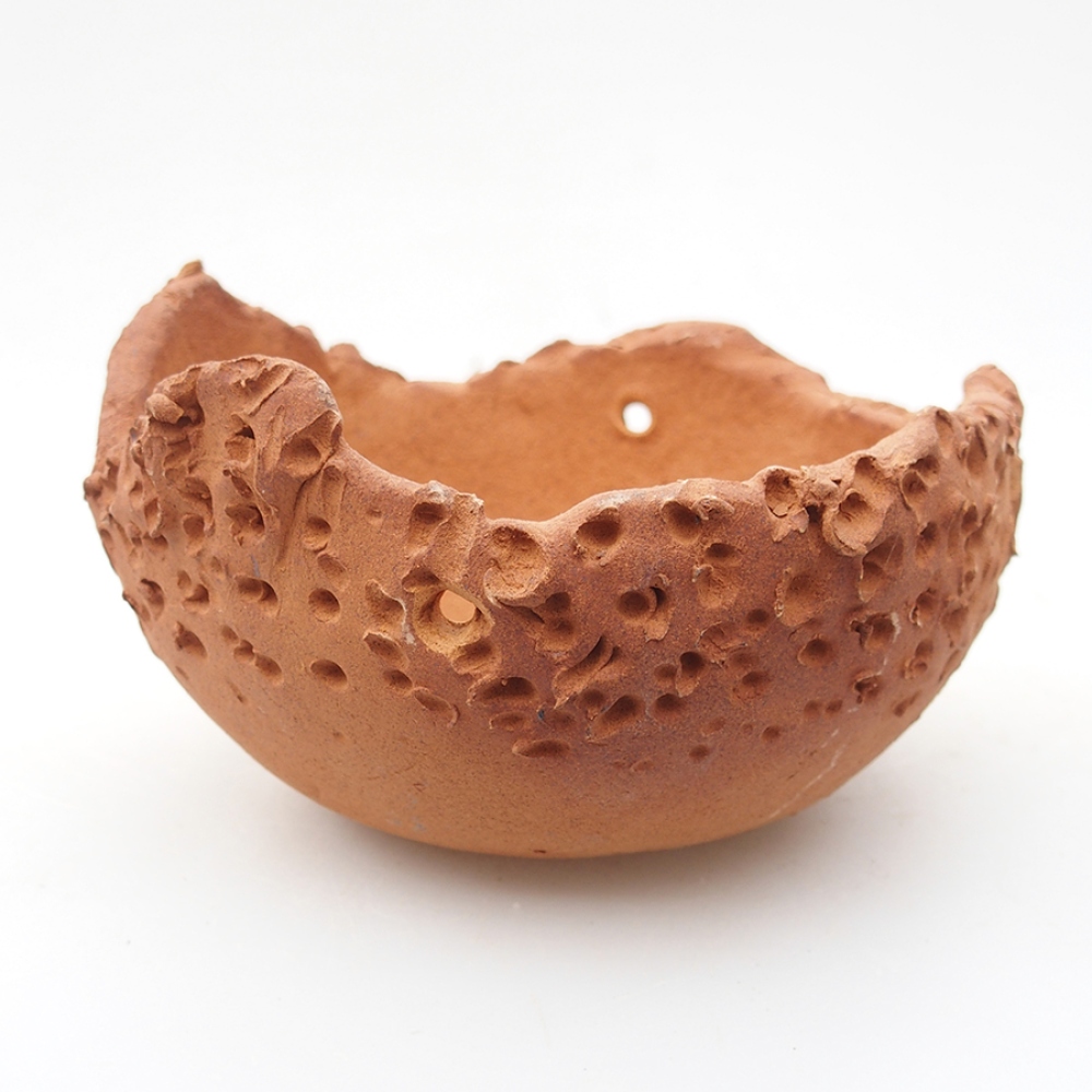Muszla ceramiczna 13,5 x 13,5 x 8 cm, kolor brązowy