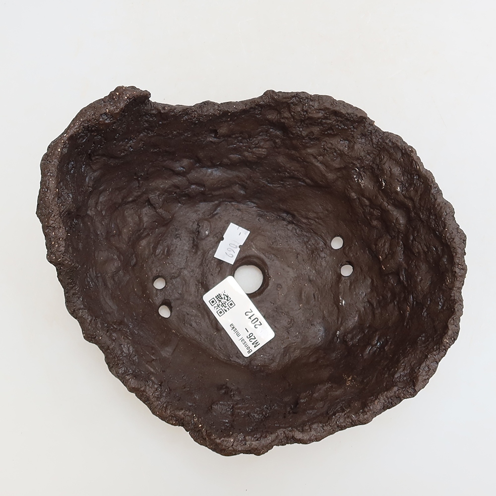 Ceramiczna skorupa 18 x 16 x 13 cm, kolor brązowy