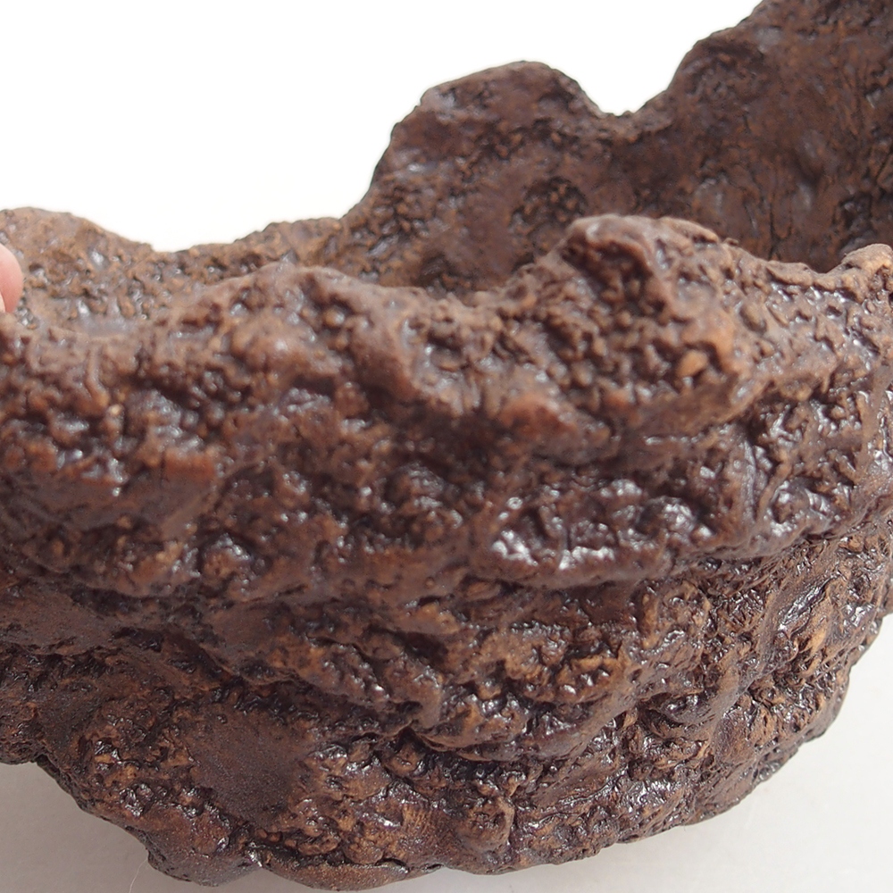 Ceramiczna skorupa 14 x 12 x 13 cm, kolor brązowy