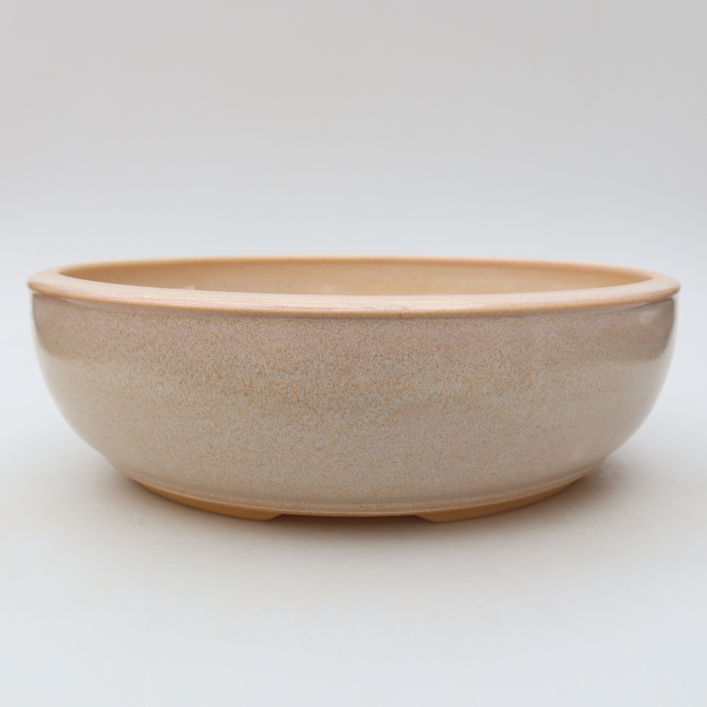 Ceramiczna doniczka do bonsai 25,5 x 25,5 x 8 cm, kolor beżowy