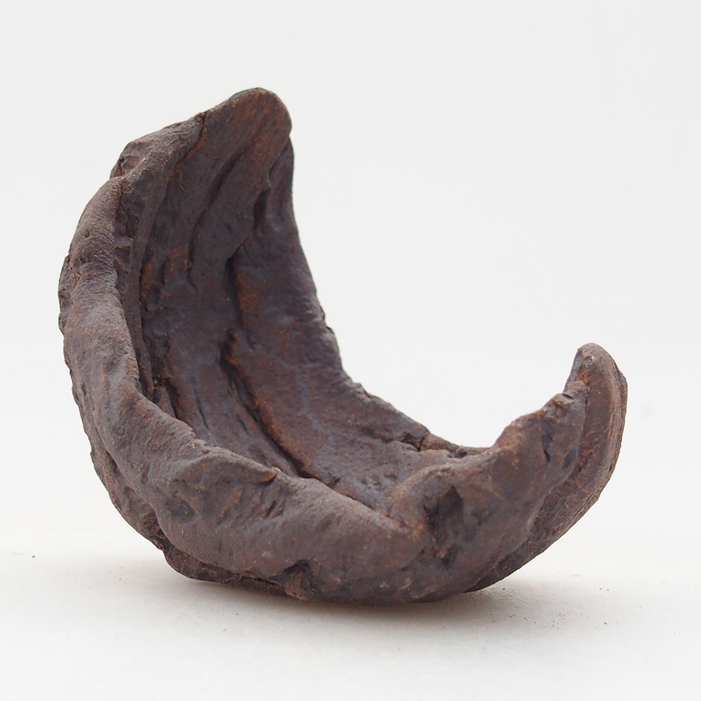 Ceramiczna muszla 6,5 x 6 x 7,5 cm, kolor brązowy