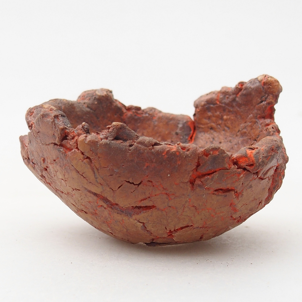 Ceramiczna muszla 7 x 7 x 3,5 cm, kolor pomarańczowy