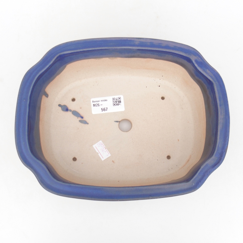 Ceramiczna miska do bonsai 22 x 18 x 7,5 cm, kolor niebieski
