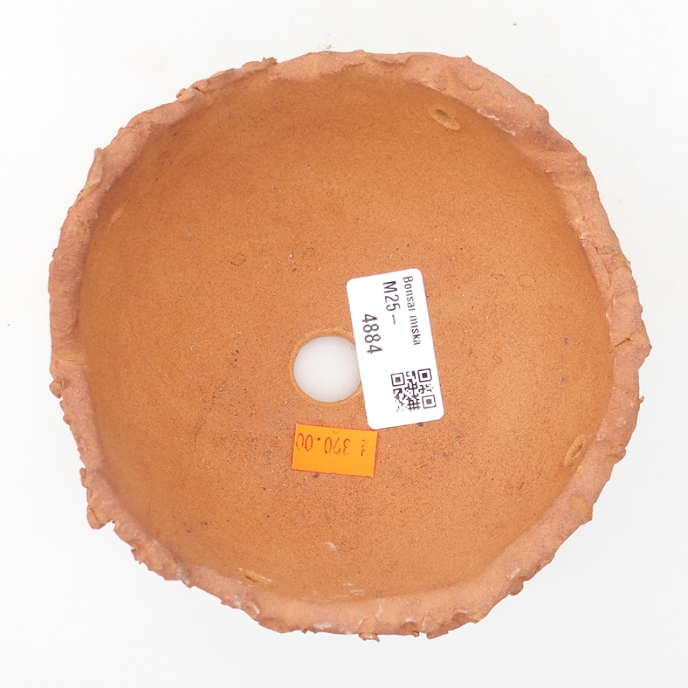 Muszla ceramiczna 13,5 x 13,5 x 8 cm, kolor brązowy