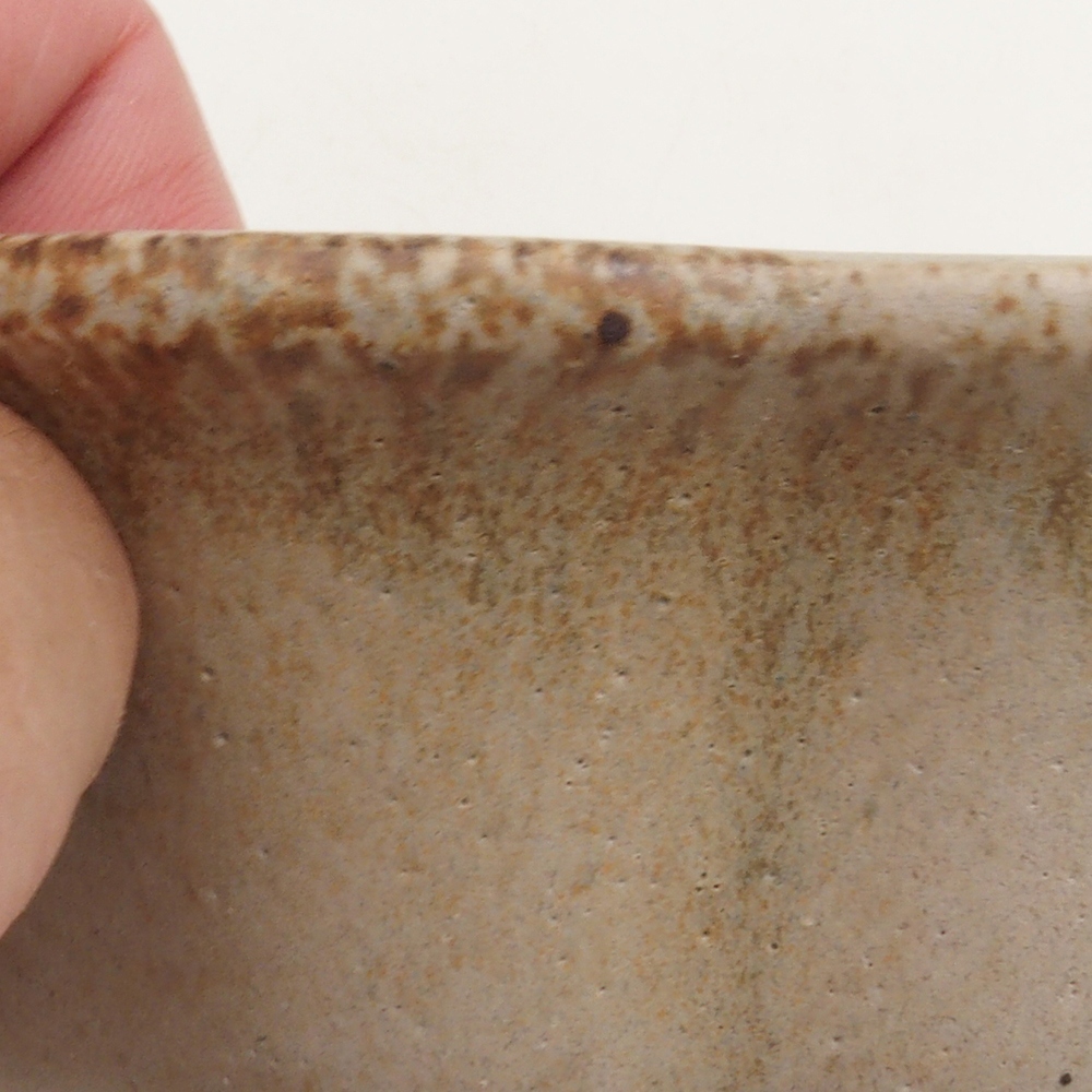 Bonsai bowl H06 - 14,5 x 14,5 x 5 cm. - beżowy