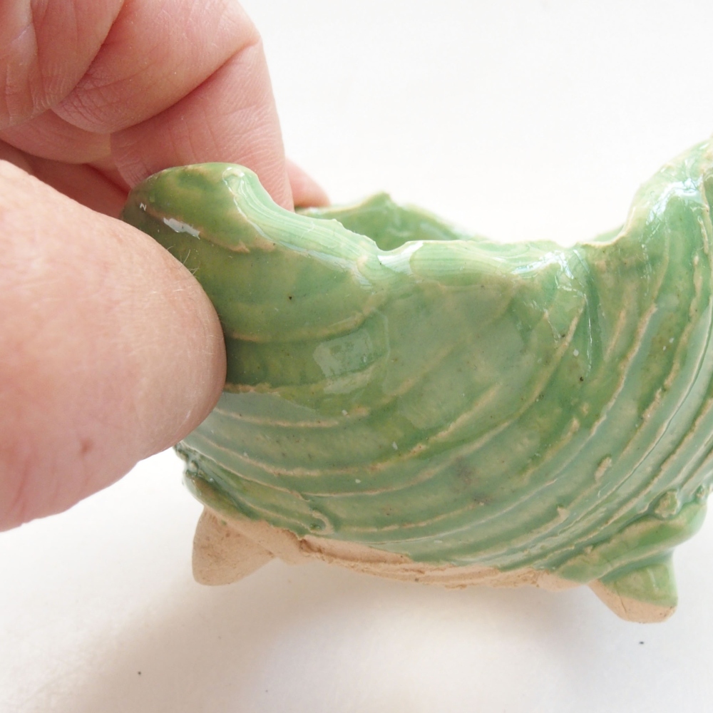 Muszla ceramiczna 7 x 7 x 5,5 cm, kolor zielony