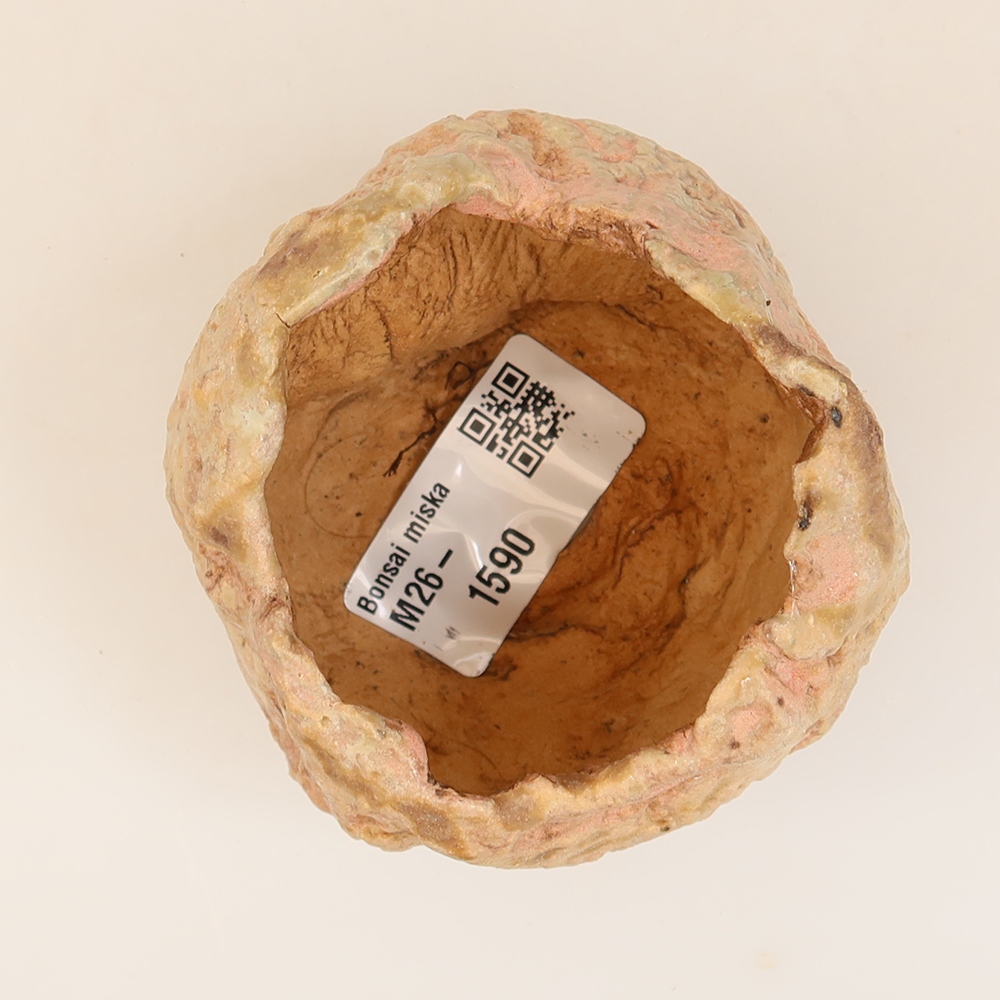 Ceramiczna skorupka  5 x 5 x 6 cm, kolor różowy