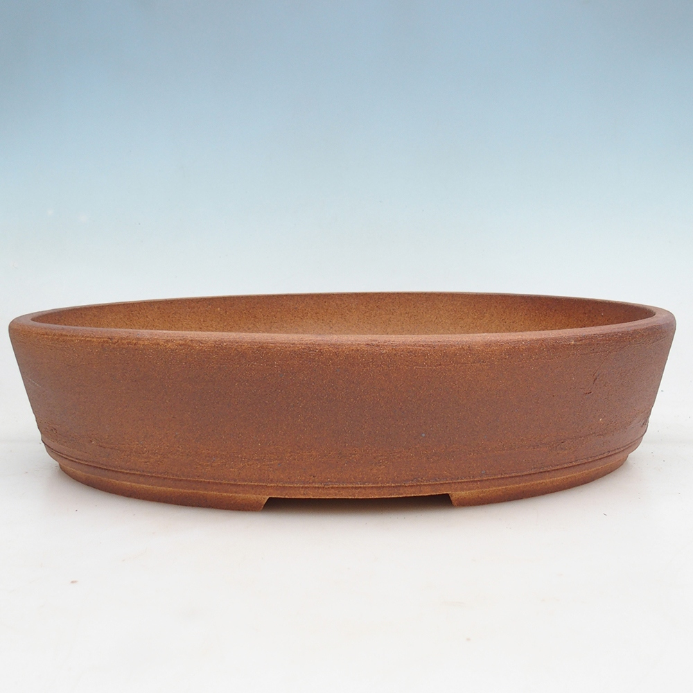 Misa bonsai 39 x 31 x 8,5 cm, kolor brązowy