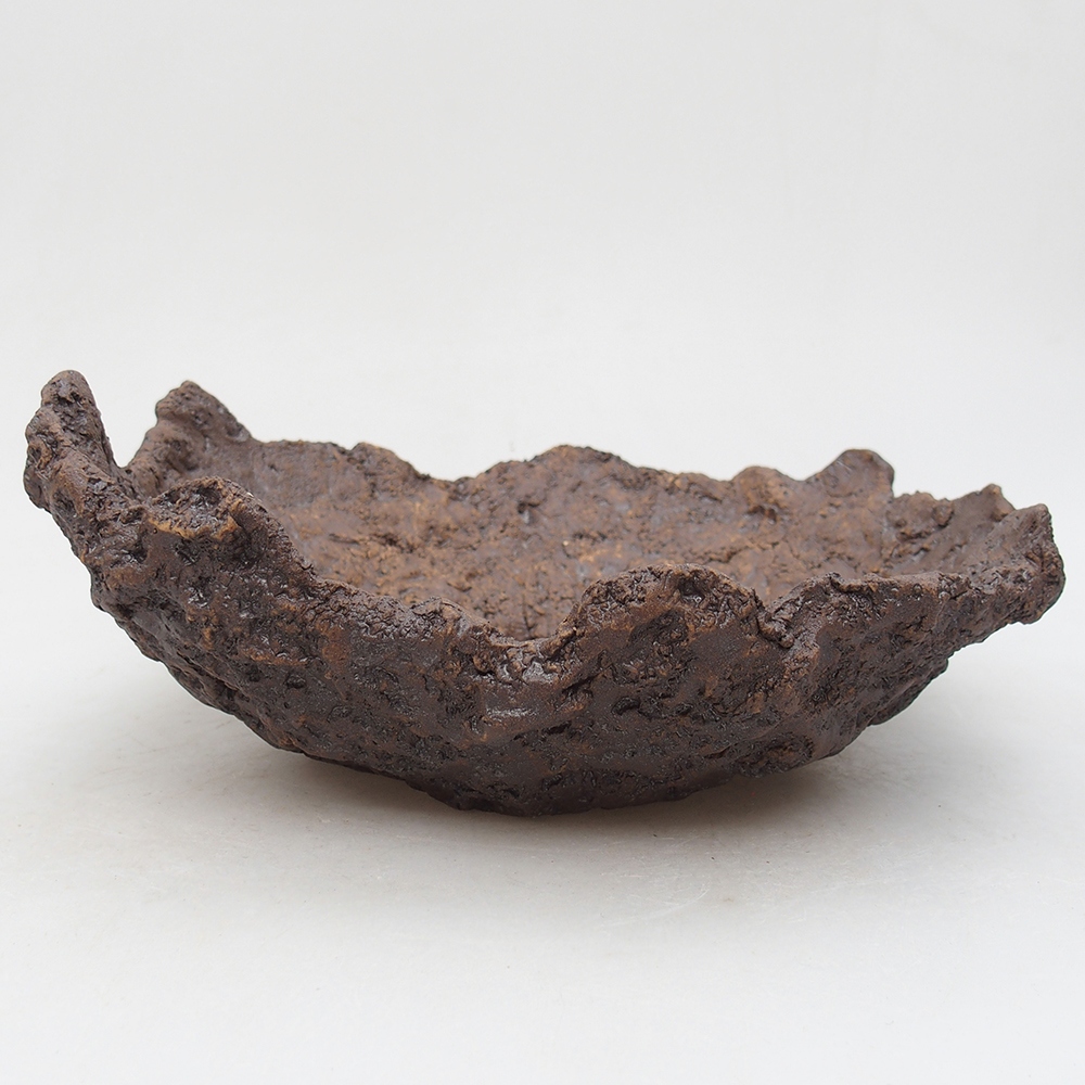 Muszla ceramiczna 23 x 22 x 9 cm, kolor brązowy