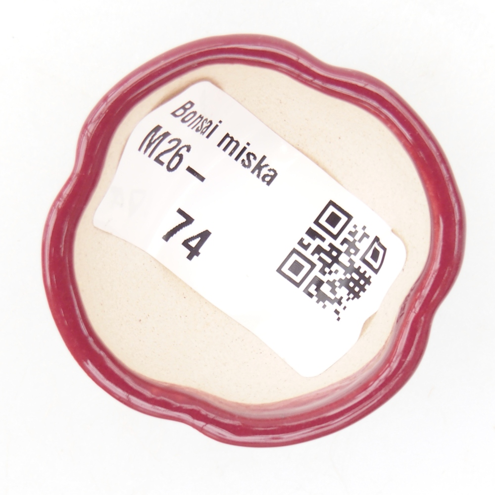 Mini miska do bonsai 4 x 4 x 2 cm, bordowa