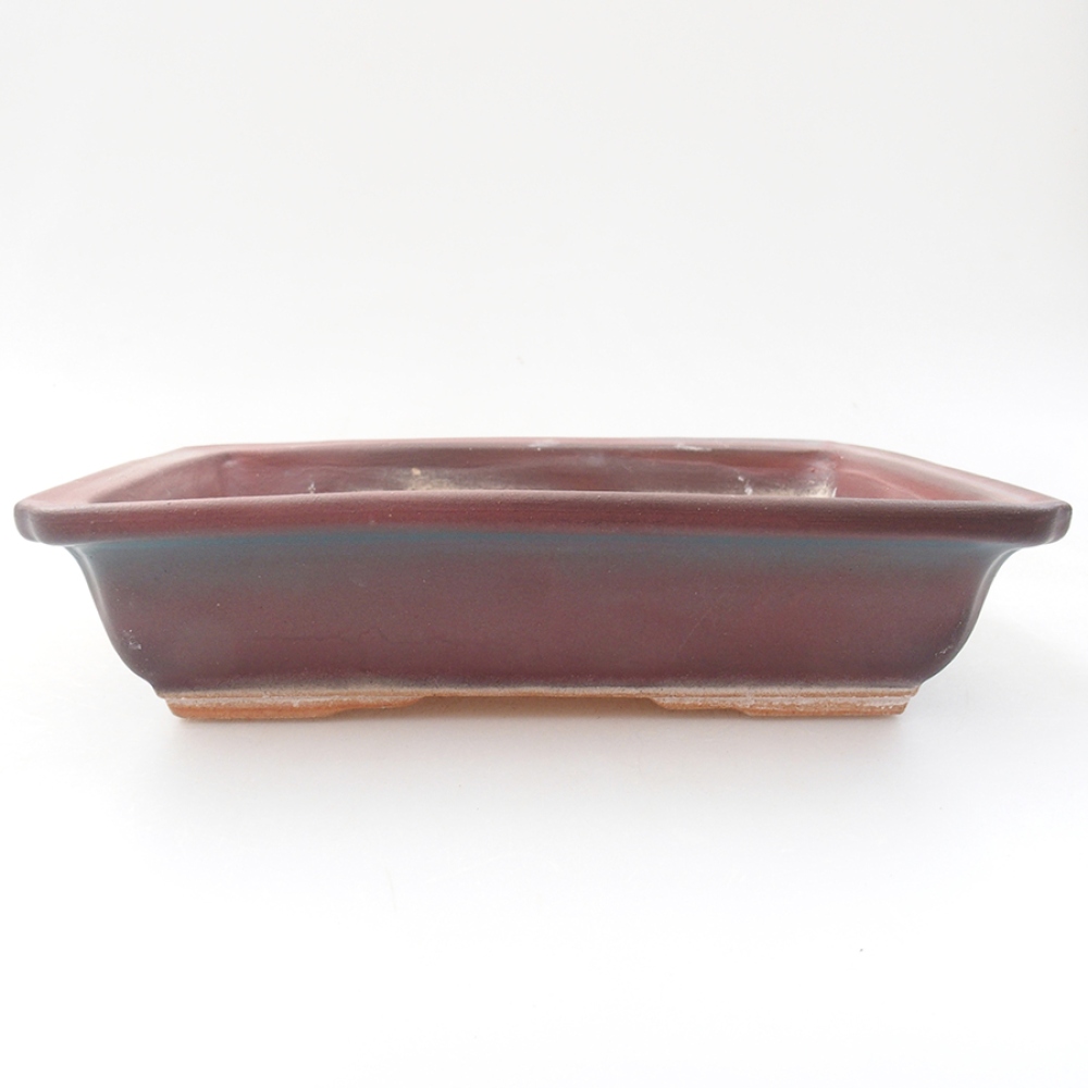 Ceramiczna miska bonsai 17,5 x 13 x 4 cm, kolor różowy