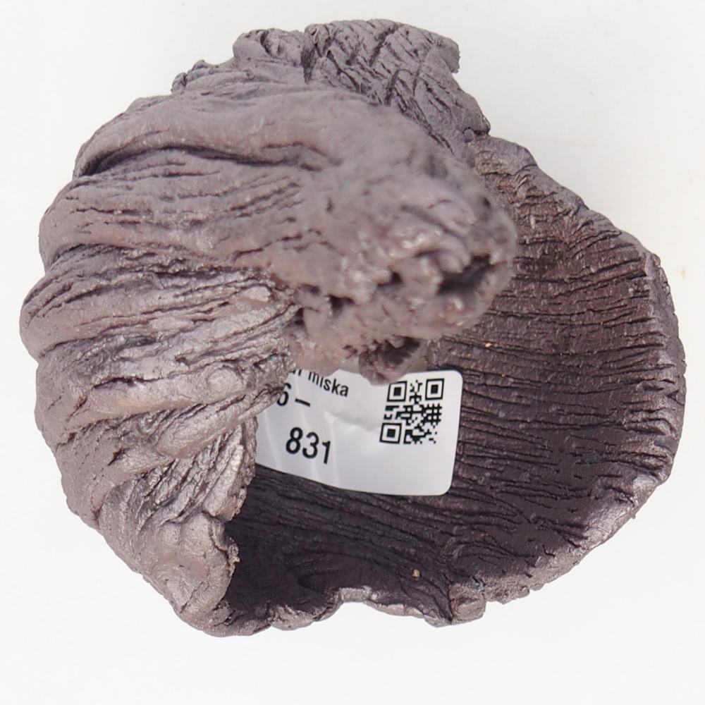 Muszla ceramiczna 8 x 9 x 14,5 cm, kolor metaliczny