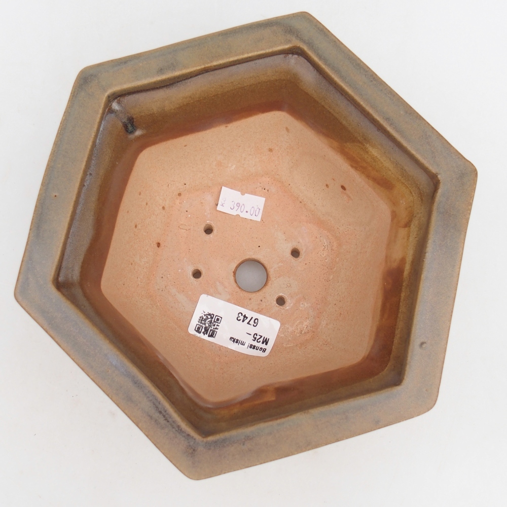 Ceramiczna miska do bonsai 18,5 x 16,5 x 9 cm, brązowa