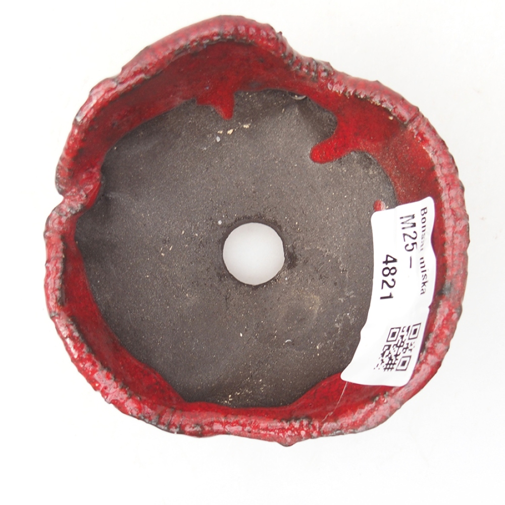 Muszla ceramiczna 7,5 x 7 x 5 cm, kolor czerwony