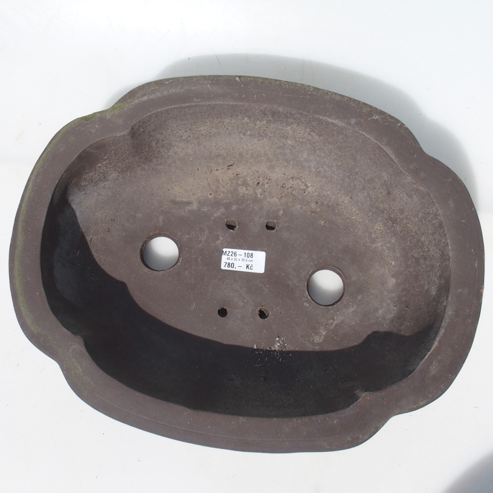 Misa bonsai 40 x 32 x 10,5 cm brzoza brązowa