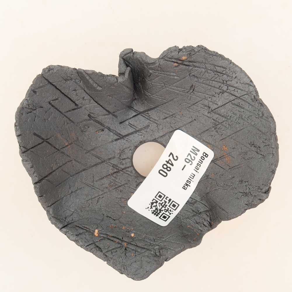 Ceramiczna skorupa  9 x 9 x 5 cm, kolor metaliczny