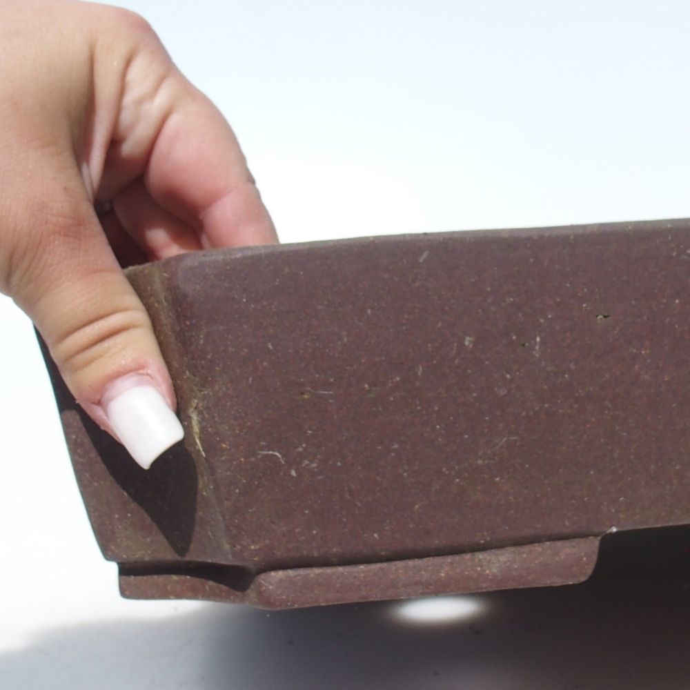 Misa do bonsai 44,5 x 32 x 6,5 cm - brązowa