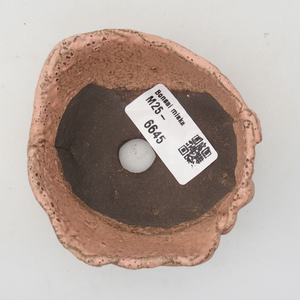 Ceramiczna muszla 9 x 8 x 4 cm, kolor różowy