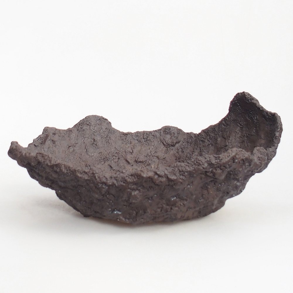 Ceramiczna skorupa 19 x 15 x 14 cm, kolor brązowy