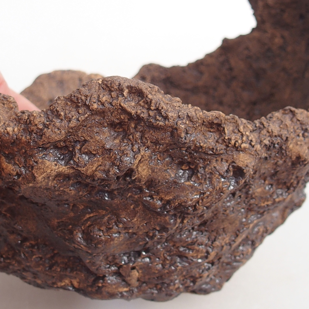 Ceramiczna skorupa 14 x 13 x 12 cm, kolor brązowy