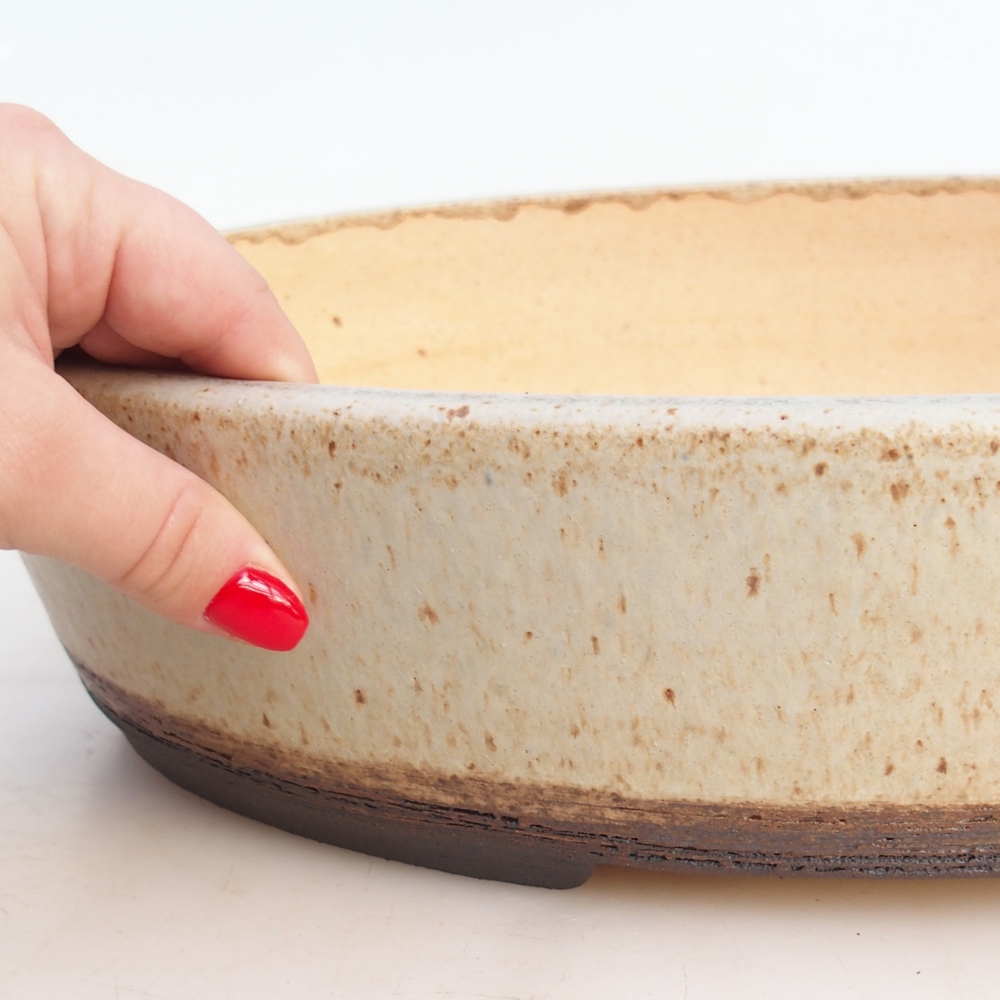 Misa bonsai 39 x 31 x 8 cm, kolor beżowy