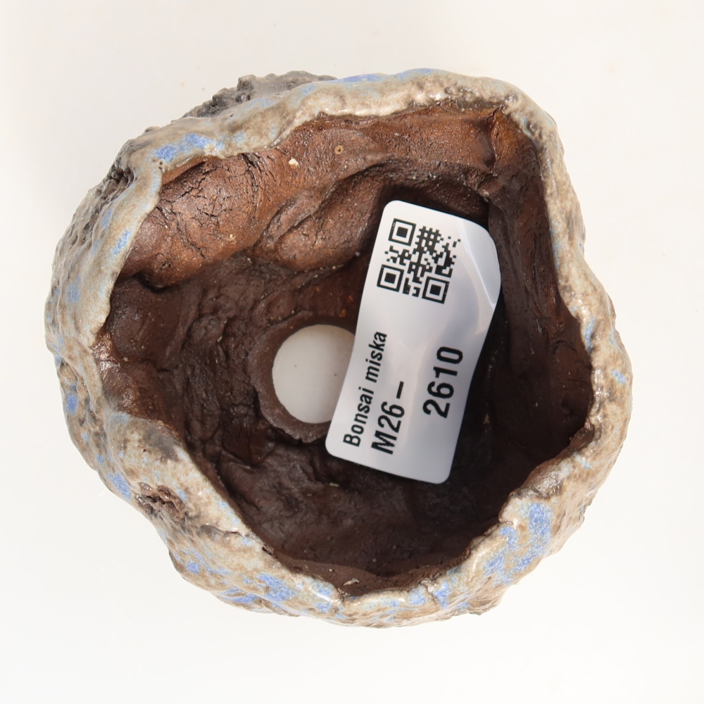 Ceramiczna skorupka  7 x 7 x 5,5 cm, kolor niebiesko-brązowy