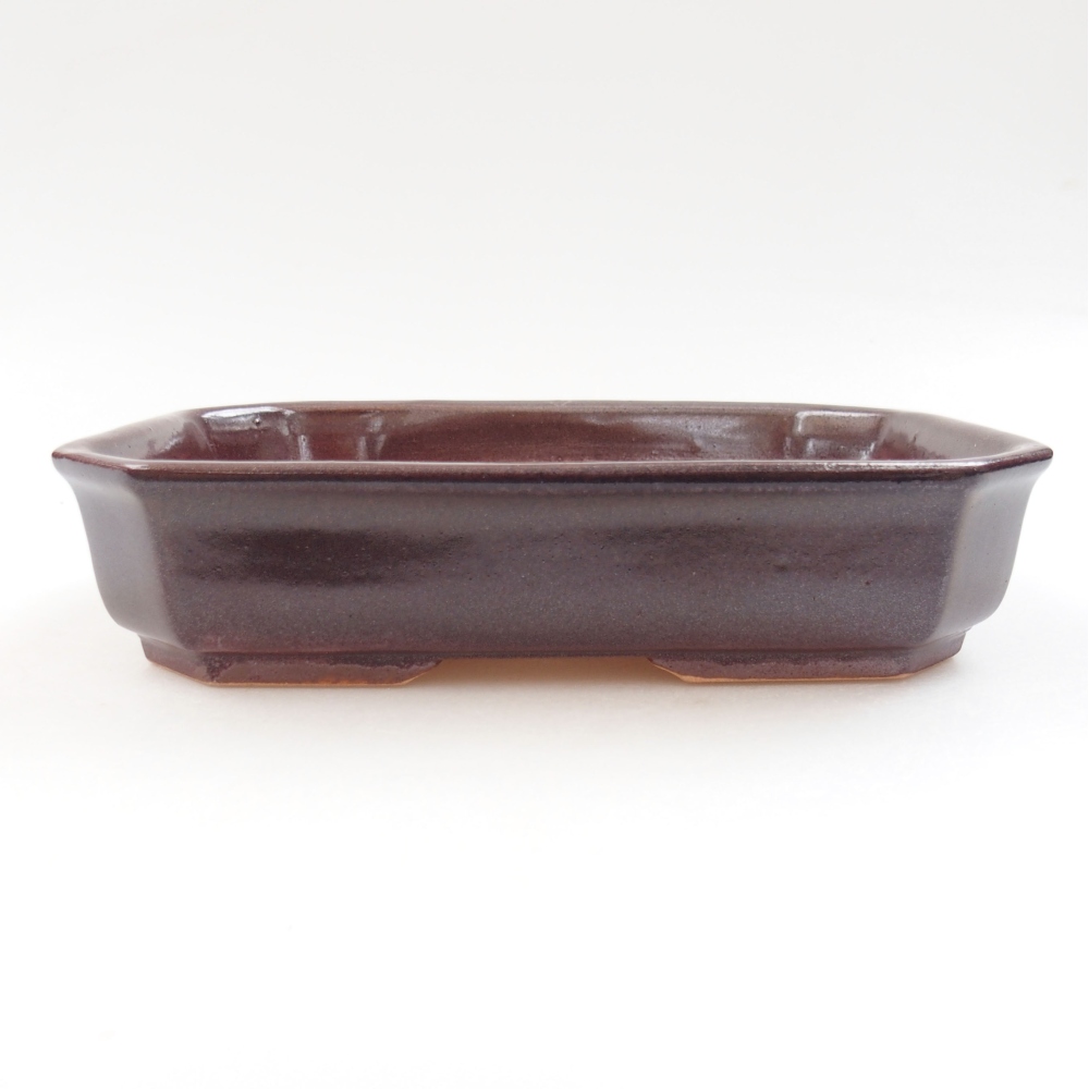 Ceramiczna miska bonsai 19 x 13,5 x 4,5 cm, kolor brązowy