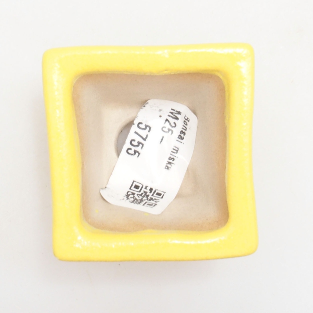 Ceramiczna miska bonsai 5 x 5 x 3,5 cm, żółta