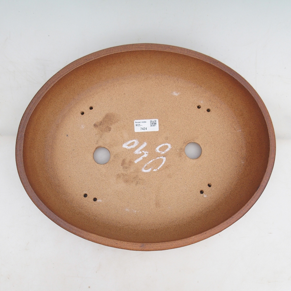 Misa bonsai 39 x 31 x 8,5 cm, kolor brązowy