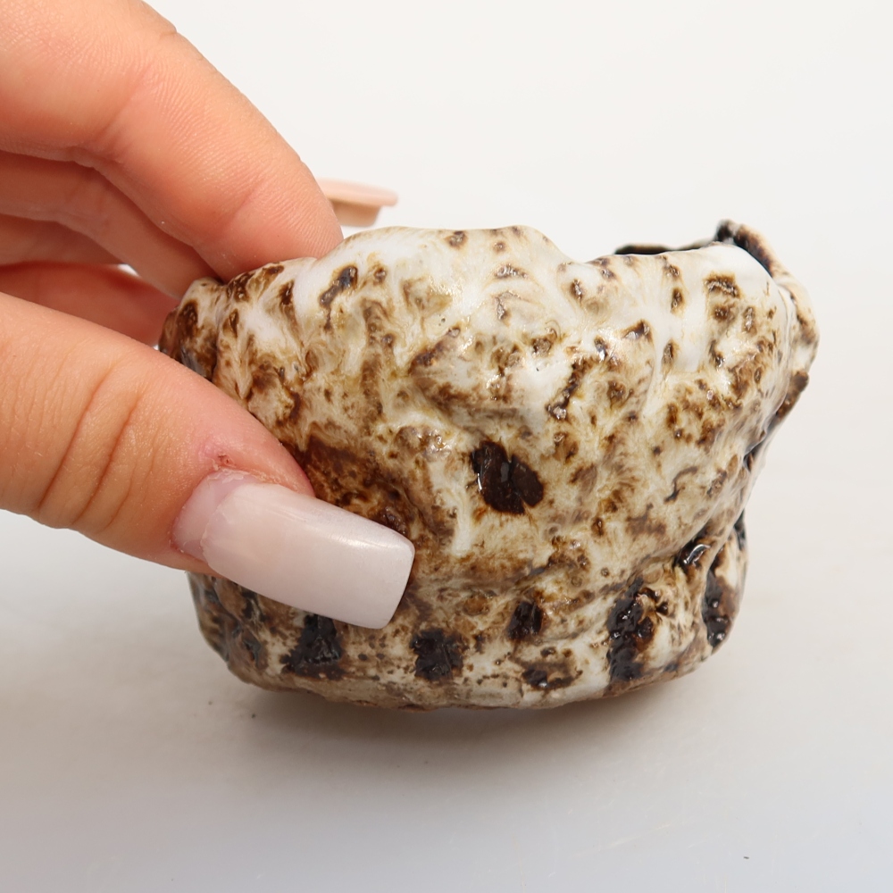 Ceramiczna skorupka  7,5 x 7,5 x 5 cm, kolor biało-brązowy