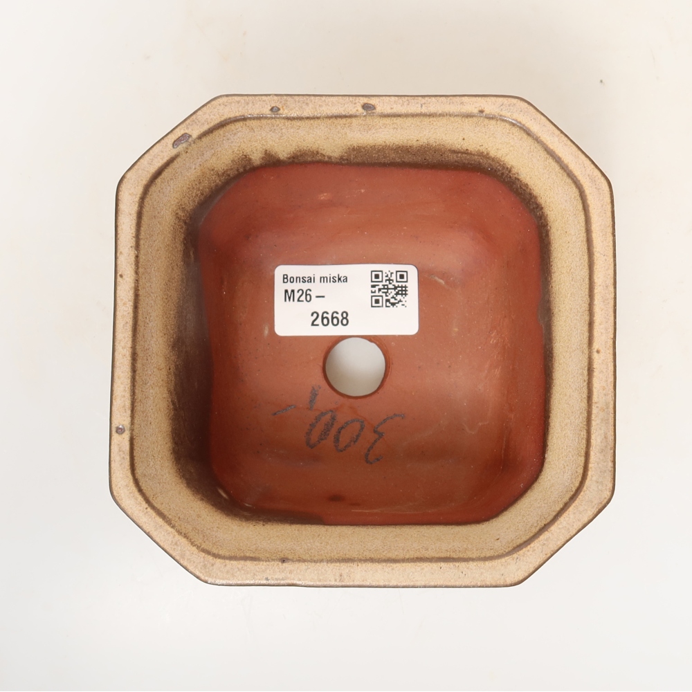 Ceramiczna skorupka  11,5 x 11,5 x 7 cm, kolor beżowy