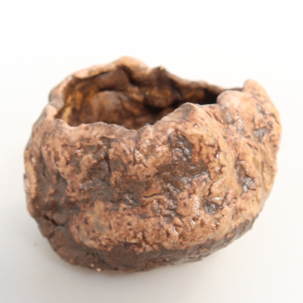 Ceramiczna skorupka  7 x 6 x 5 cm, kolor brązowy