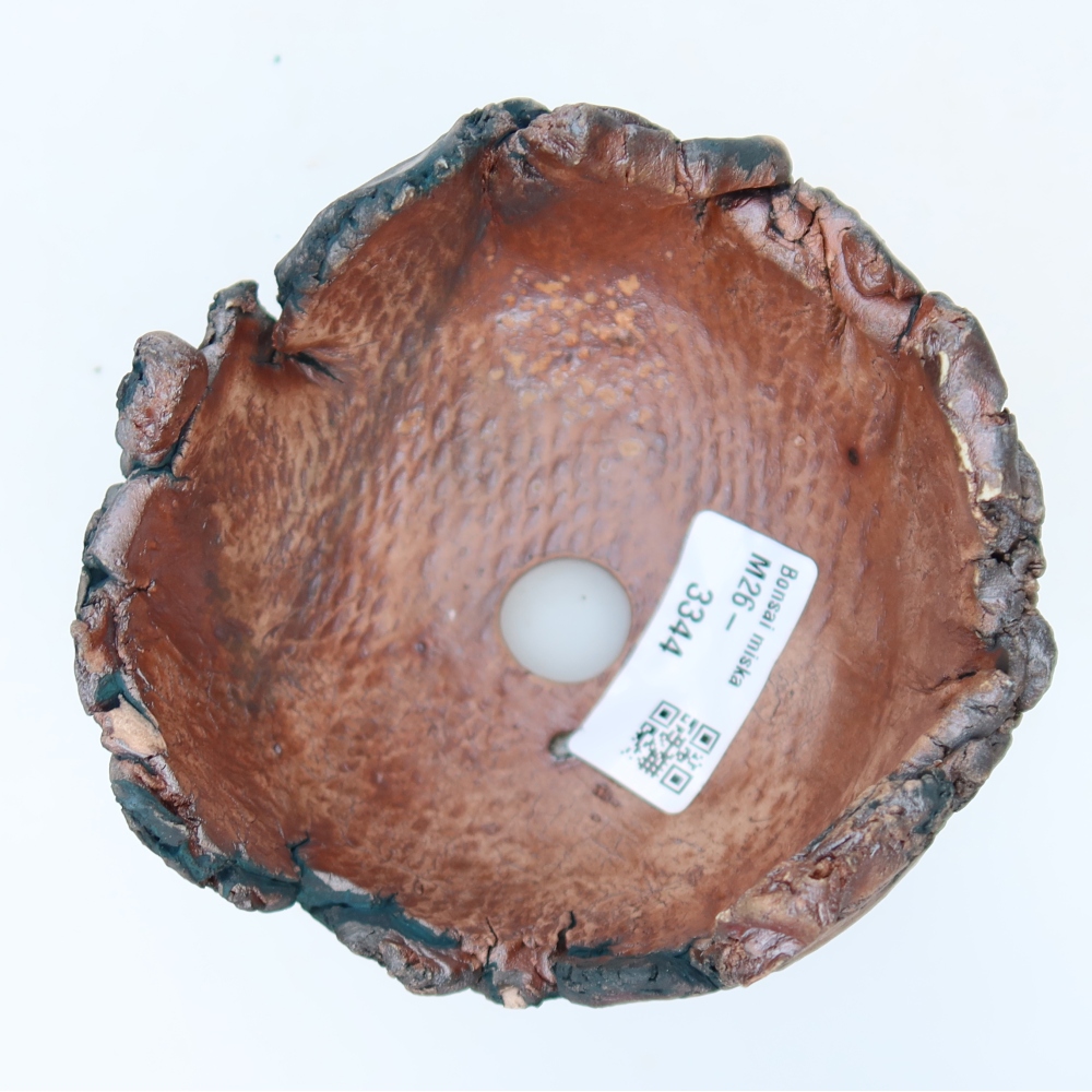 Ceramiczna skorupa  11 x 11 x 8 cm, kolor zielony