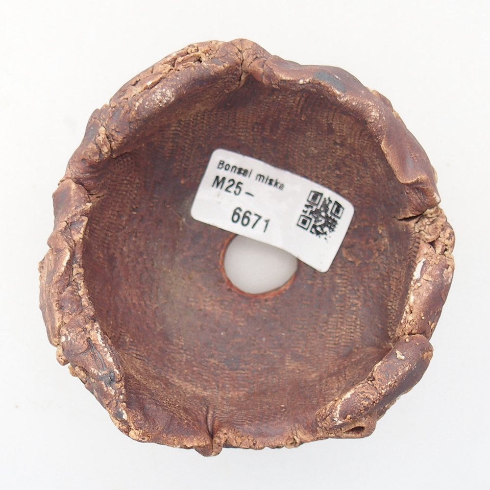 Muszla ceramiczna 9 x 8,5 x 6,5 cm, kolor brązowy