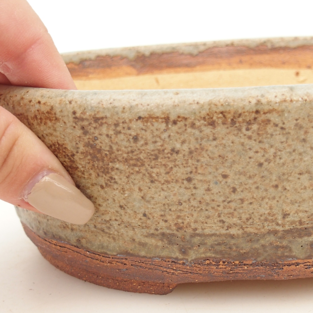 Misa do bonsai 20 x 16 x 6,5 cm, kolor niebieski