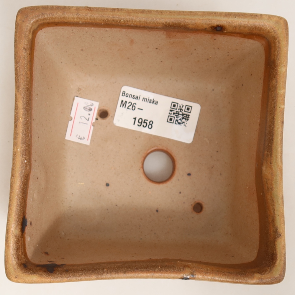 Ceramiczna miseczka do bonsai 10,5 x 10,5 x 6,5 cm, kolor beżowy