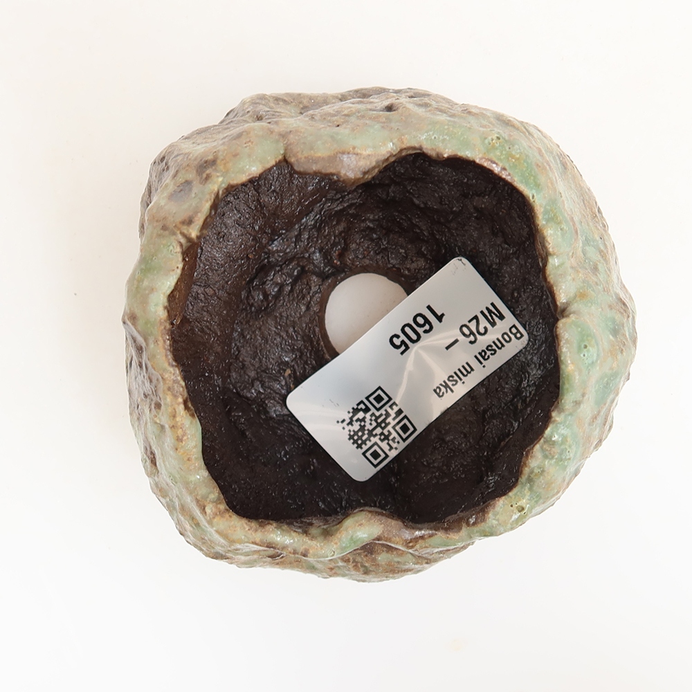 Ceramiczna skorupka  6 x 5,5 x 6 cm, kolor zielony