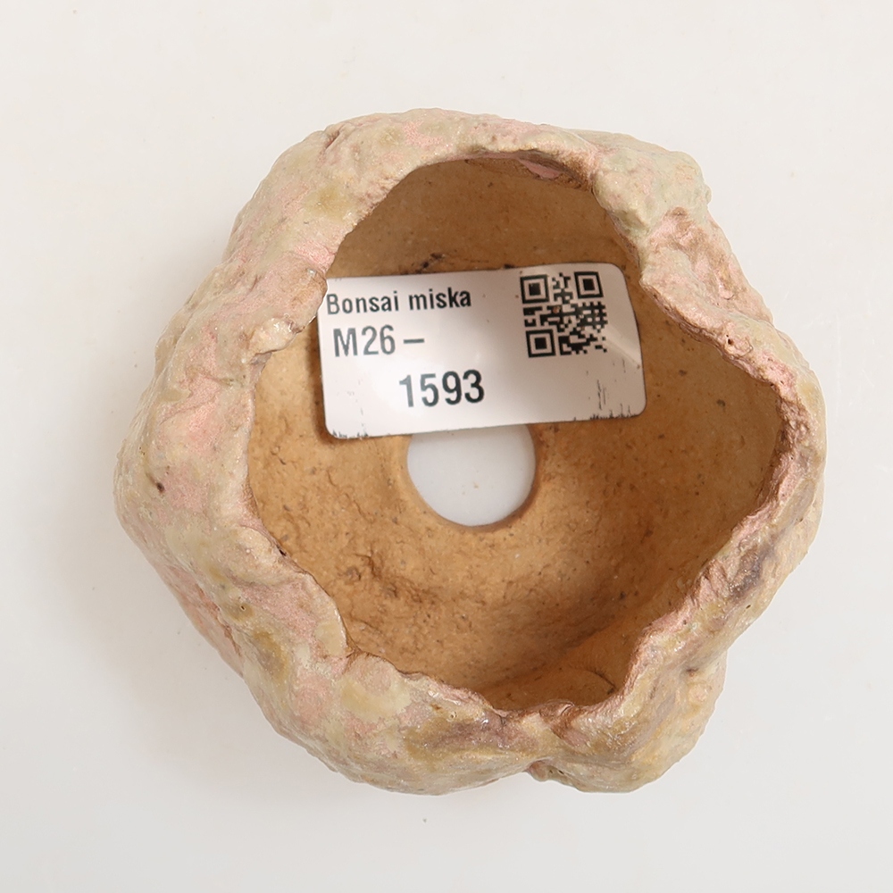 Ceramiczna skorupka  5,5 x 5,5 x 5,5 cm, kolor różowy