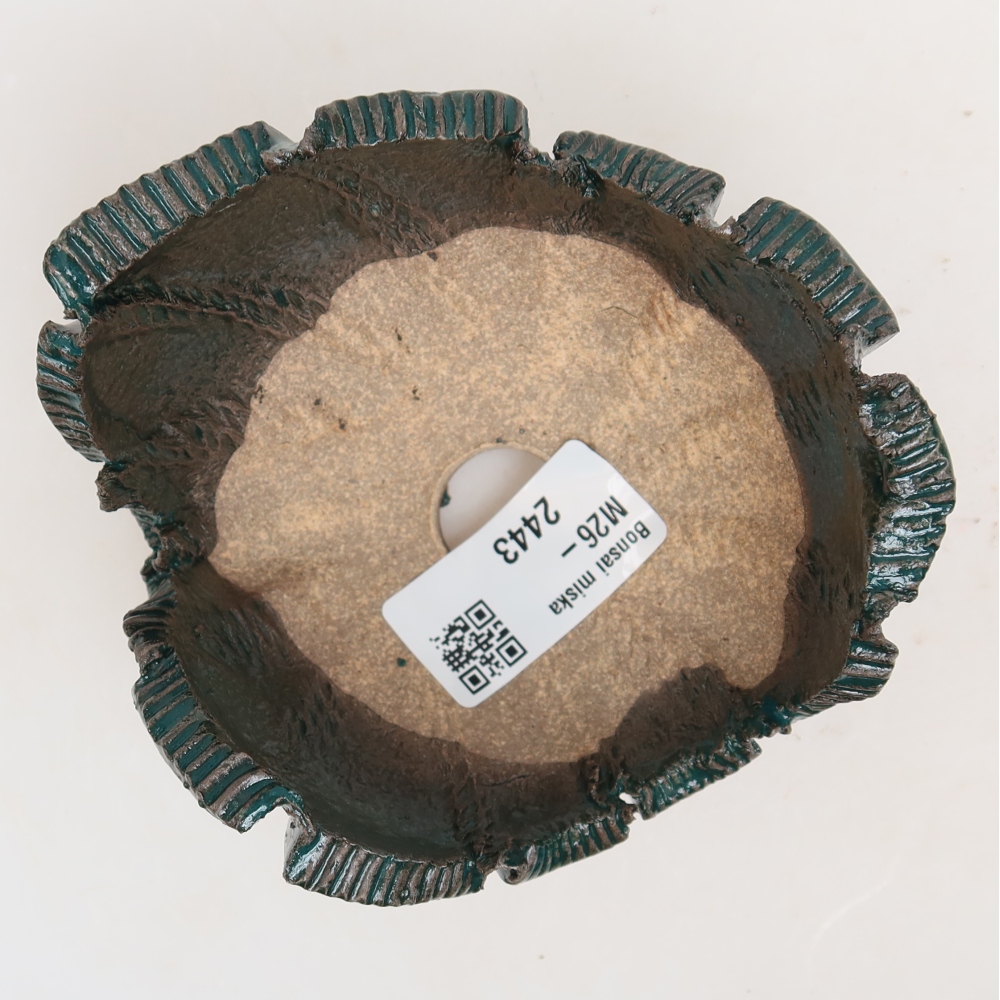 Ceramiczna skorupa  10 x 10 x 6 cm, kolor zielony