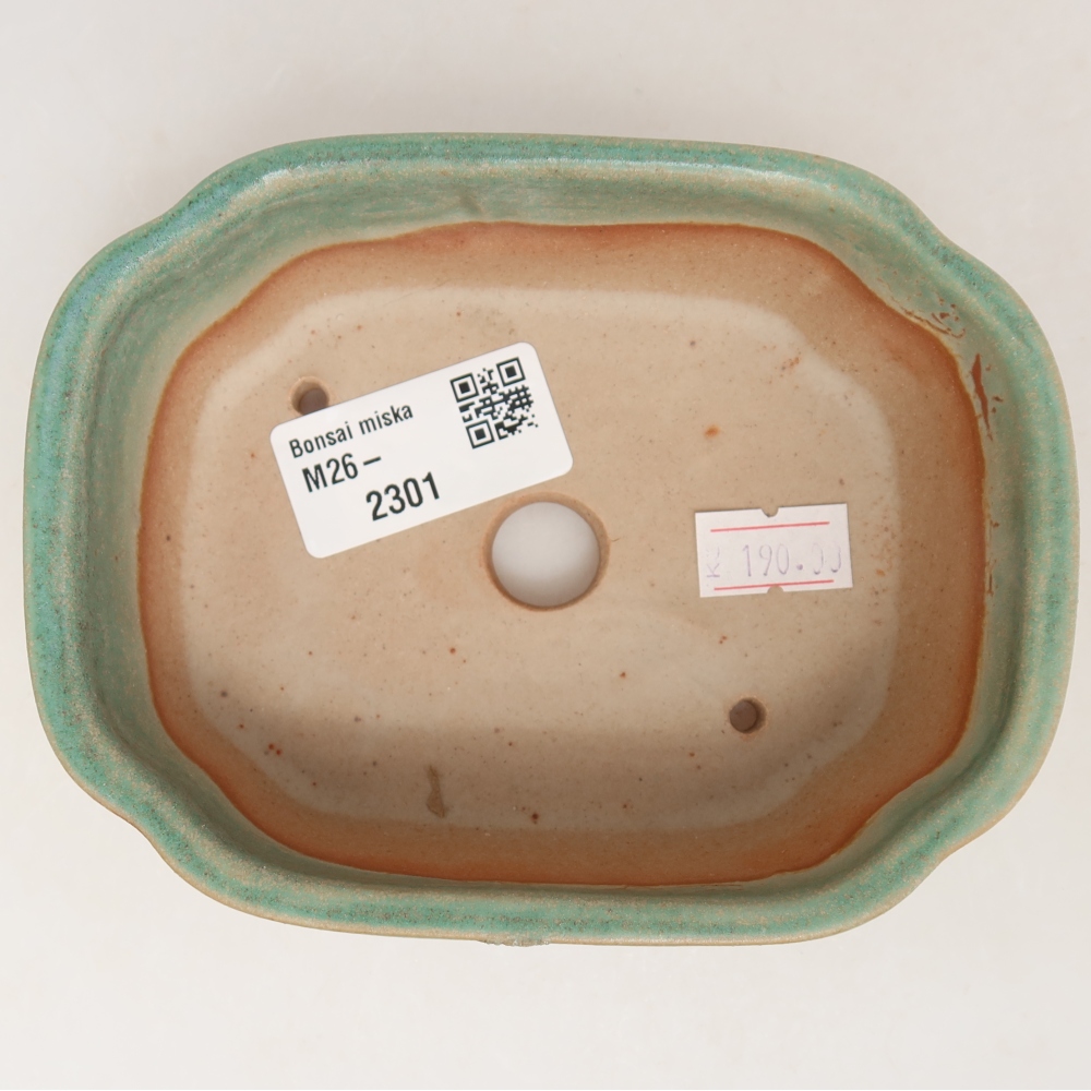 Ceramiczna miska do bonsai 12,5 x 10 x 4,5 cm, kolor zielony