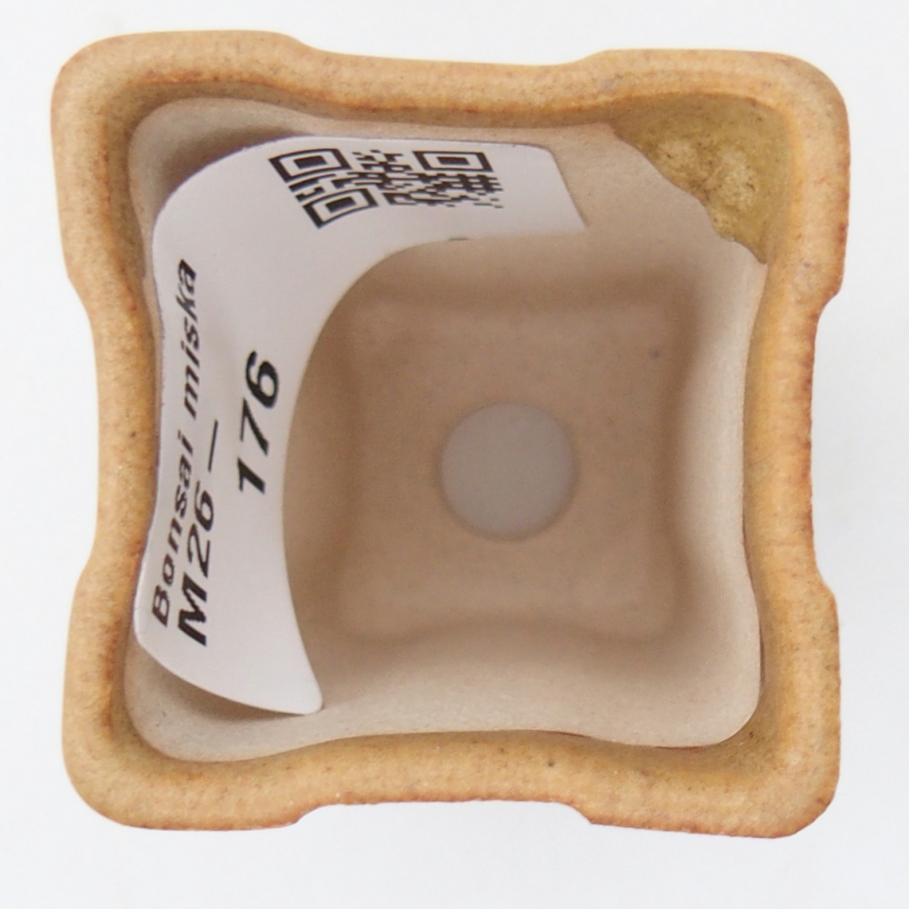 Mini miska do bonsai 3,5 x 3,5 x 5,5 cm, brązowa