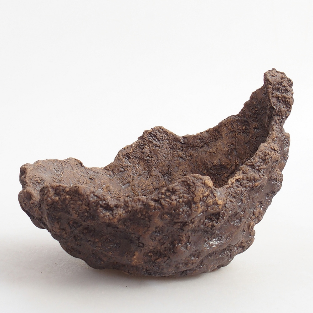 Ceramiczna muszla 13 x 11 x 11 cm, kolor brązowy